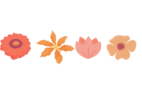 Download Flower Beautiful Collection Design - Premium Resources