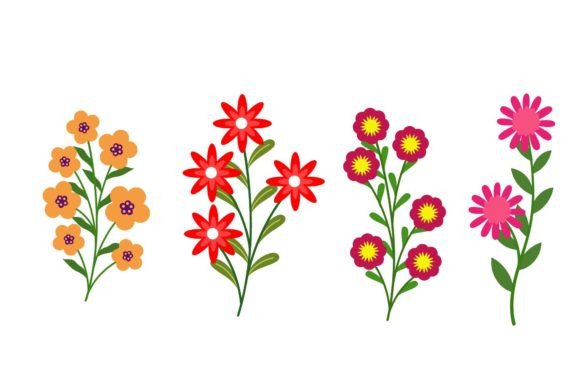 Download Flower Beautiful Collection - Premium Resources